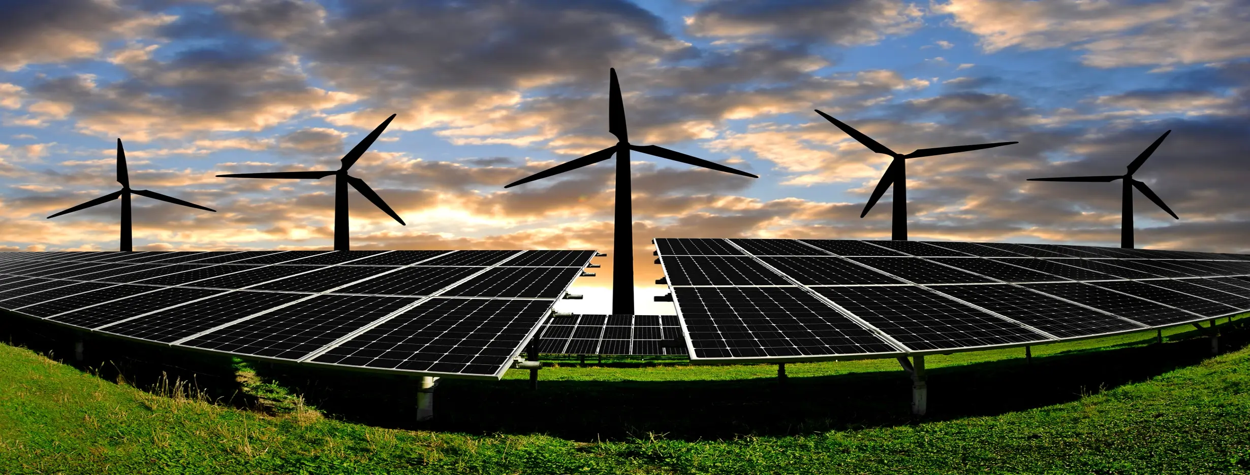 Image for Renewable Energy Initiatives